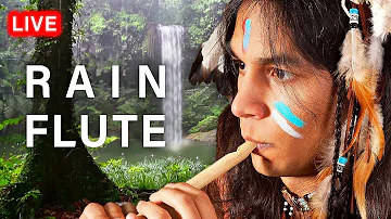 Native American Flute Music and Rain 24/7 for Sleep, Relaxation, Study and Meditation