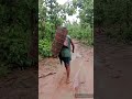 ye kya hai 😯😯 kumni #tranding #shortvideo #viral