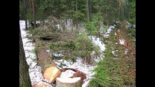 Александр Кировский - 