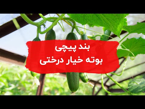 تصویری: خط روند: تعریف و ساخت