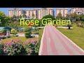 Rose garden spring garden tour ghani bagh hayatabad peshawar