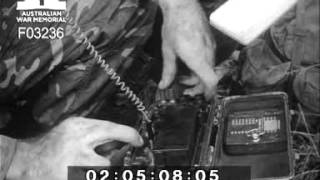 Australian Special Air Service (SAS) Vietnam