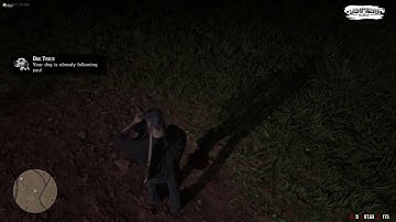 Pet Feature System - HELPING THE OWNER | #LoTW