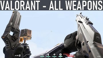 VALORANT - All Weapons