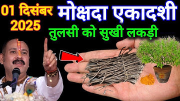 01 दिसंबर एकादशी के दिन तुलसी की सूखी लकड़ी से कर लेना ये उपाय होगी हर मनोकामना पूर्ण..!