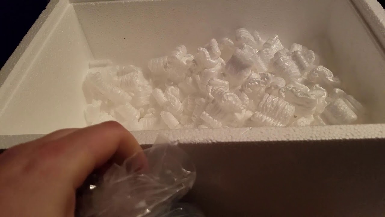 liveaquaria coral farm Wartskin Frogfish Un-boxing.... The Worst Possible Result...