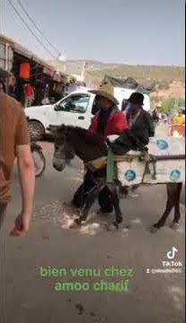 عودة عمو شريف الي سياحة  لكتشاف المنطق الأمازيغية وتقاليده🌹❤️