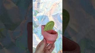 🎥 Как сделать бетонное кашпо в виде унитаза своими руками? #diy  #бетонныекашпо #concrete #handmade