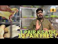 Jitny shokeen hai birds k yeh lazmi dekhiye  1 pair k sath 10 pair free   must watch