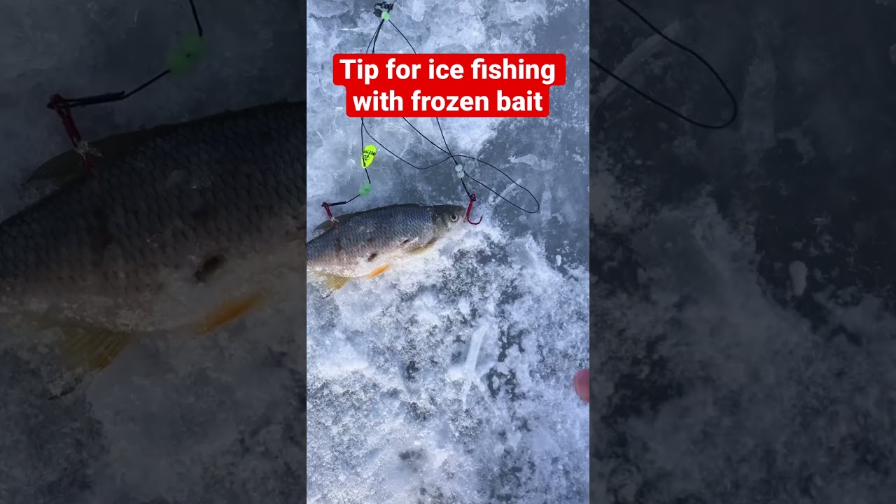 Tip for ice fishing with frozen bait!! (If you don't know this tip you need  to!!) 