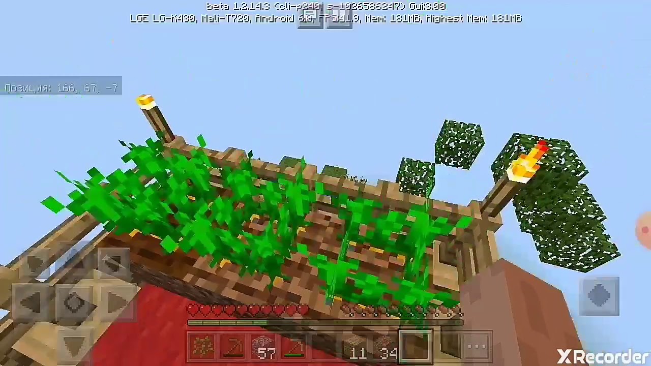 Карта в майнкрафт выживание на 1 чанке