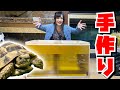 リクガメの安くて簡単な手作りケージを作ってみた！