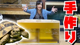 リクガメの安くて簡単な手作りケージを作ってみた！