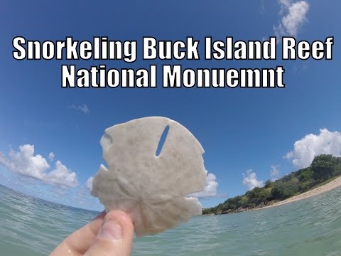 Wideo: Snorkeling w Buck Island National Monument, St. Croix