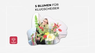 Das wusstest du noch nicht über diese 5 Blumen