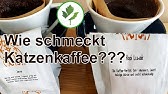 Affenkot kaffee aus