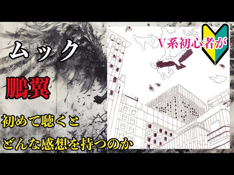 aile clind' oeil/嘆きの翼 新潟V系 Bijou ビジュー アセテートキャットアイサングラス - ティール