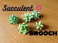 Succulent brooch tutorial - suculenta arcilla polimerica