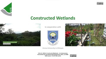 Constructed Wetlands - An Introduction