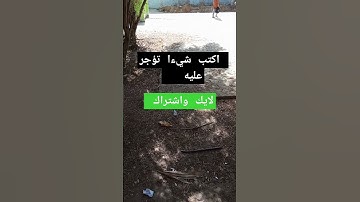 تلاوة تقشعر لها الابدان وتهز النفوس  تابع /انشر تؤجر