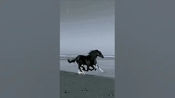 سبحان الذي خلق فسوى 