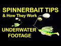 Spinnerbait Fishing Lure Tips and How to Fish Spinnerbaits (Underwater Footage)