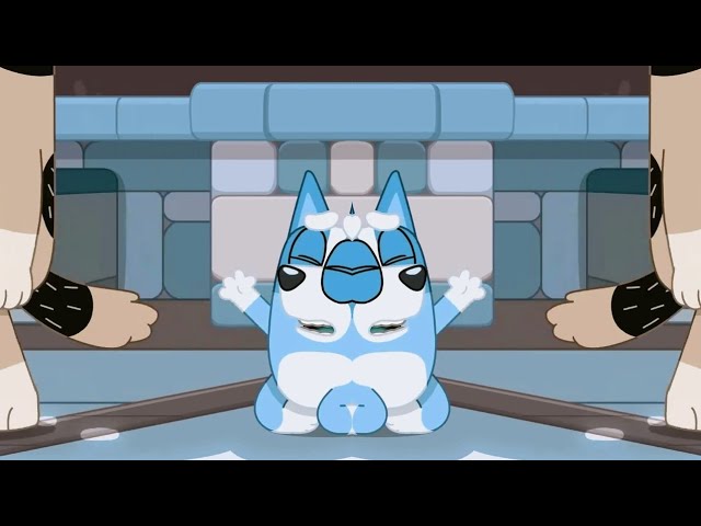 BINGO CRIES AND ROLLS ON THE STREET 😭🐾 - YouTube