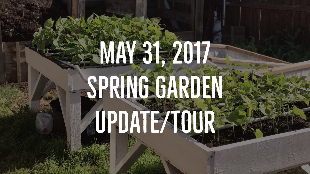 May 31, 2017 Spring Garden Update/Tour (Urban Zone 7 Oklahoma Backyard Farm)