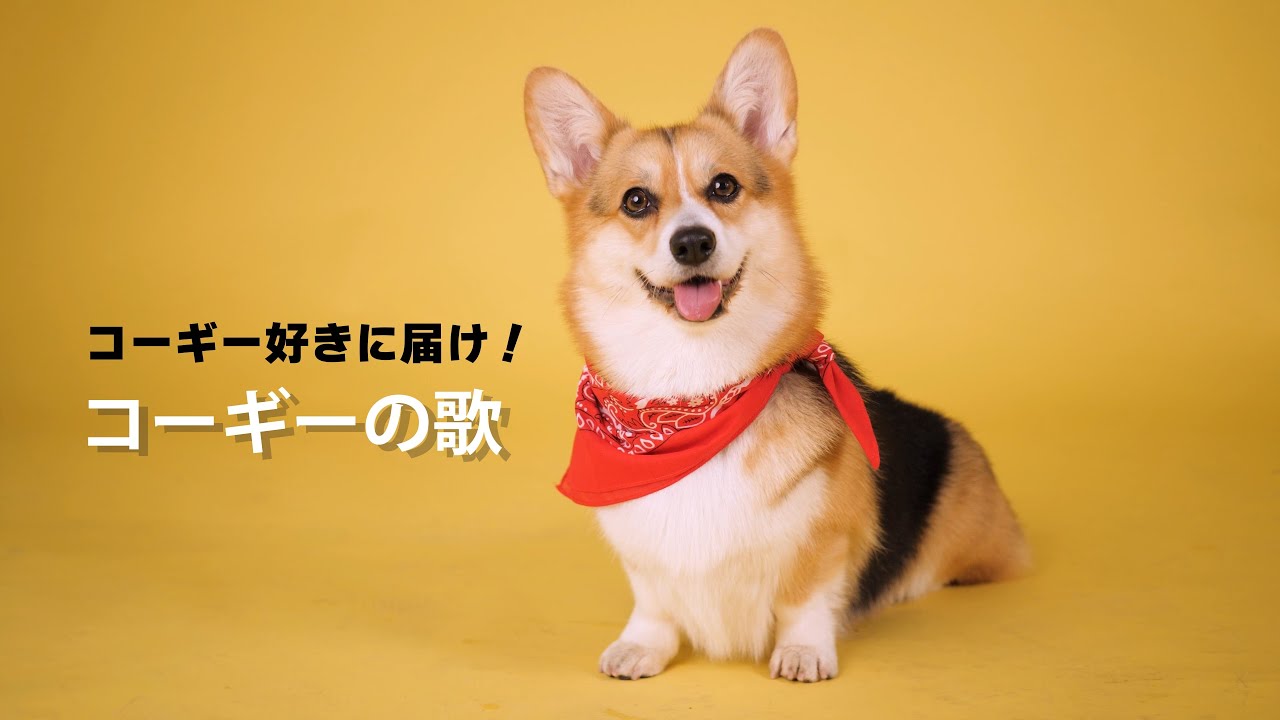 コーギーの歌 -feat.音街ウナ-