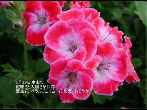 誕生日に贈る言葉 6月29日生まれの繊細で大胆なあなたに 聴きものがたり Youtube 誕生日に贈る言葉 6月29日生まれの繊細で大胆なあなたに 聴きものがたり Youtube
