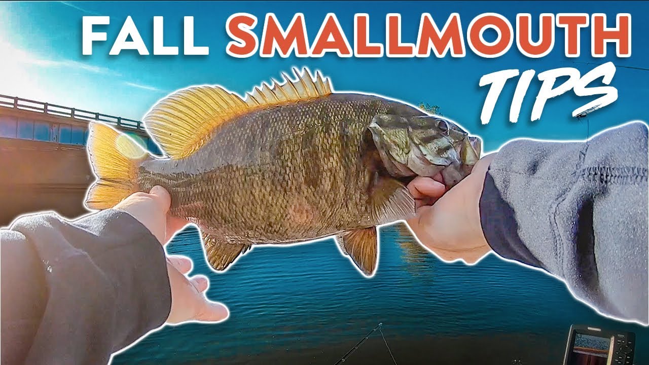 Fall SMALLMOUTH Bass Fishing  How To Catch Smallies In COLD Water 