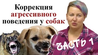 картинка: Семинар по агрессии с Юлией Исламовой. День1-Часть 1