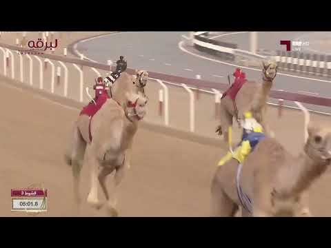 ش3 معزز لـ راشد محمد سعيد محمد مروشد ختامي الوثبة 14 4 2024ص لقايا قعدان محليات 7 20 8