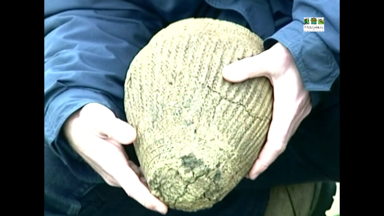 Breamish Valley Archaeology Project at Ingram Valley - Northumberland National Park
