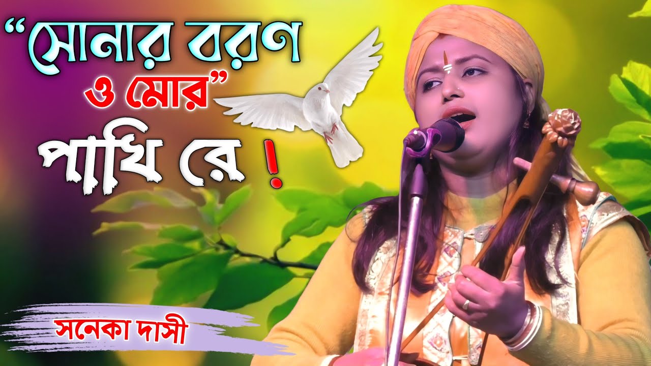 সোনার বরণ ও মোর পাখি রে | Sonar Boron O Mor Pakhi Re | Saneka Dasi Baul | New Baul Song 2025