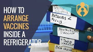 How to Arrange Vaccines Inside Any Refrigerator