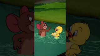 Tom & Jerry In Italiano 🇮🇹 | Lezioni Di Nuoto Per Paperina 🐥 | #Shorts | @Wbkidsitaliano