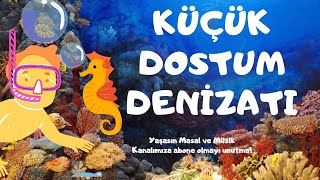 Küçük Dostum Denizatı