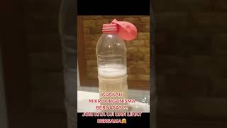 Sains Tahun 6 Mikroorganisma Adakah Mikroorganisma Bernafas?