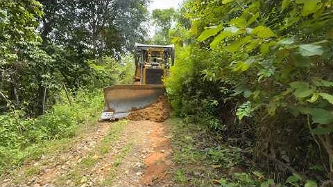 The CAT D6R XL Bulldozer Clears Forest Paths in a Matter of Minutes