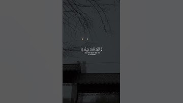 ويوم يعض الظالم على يديه.. سورة  الفرقان ♥❤🦋🤍💕 #quran #اسلام_صبحي
