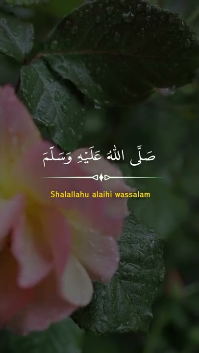Bismillah Sholawat Yuk #shorts #dzikir #sholawat