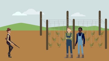 People v. Miller Case Brief Summary | Law Case Explained