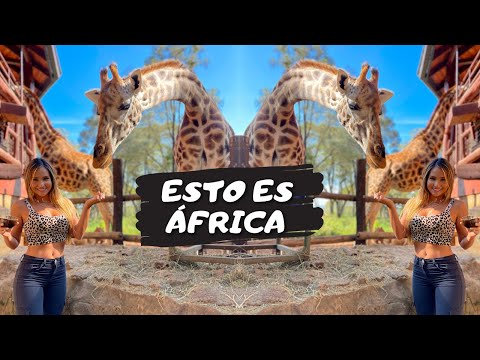 Video: Cómo Viajar En África