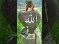 #islamiclecture #foryou #aishorts #IslamicReels#ইসলামিকভিডিও#QuranReminder#বাংলাইসলামিক#DailyIslamic