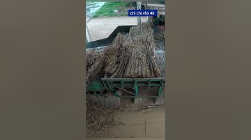 kỹ năng lái cẩu trong khu công nghiệp An toàn kỹ thuật cao