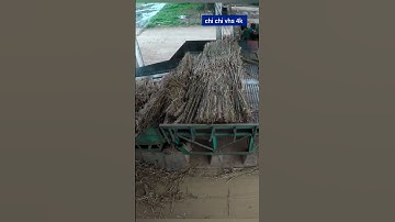 kỹ năng lái cẩu trong khu công nghiệp An toàn kỹ thuật cao