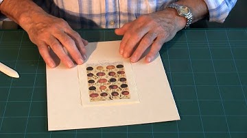 Conservation Framing: 7 - Float Mount