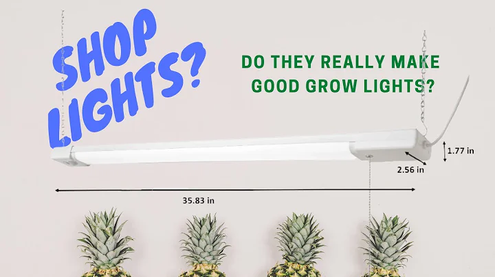 I Found Super Inexpensive Shop Lights at Walmart!  How Well Will These Grow Plants?
