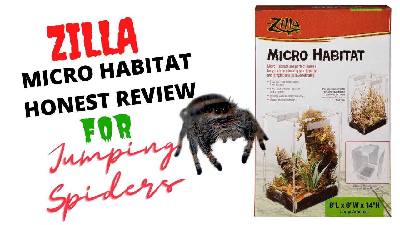 Zilla Micro Habitat Honest Review What Should I Keep My Jumping
